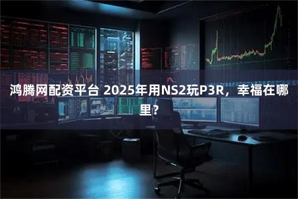 鸿腾网配资平台 2025年用NS2玩P3R，幸福在哪里？