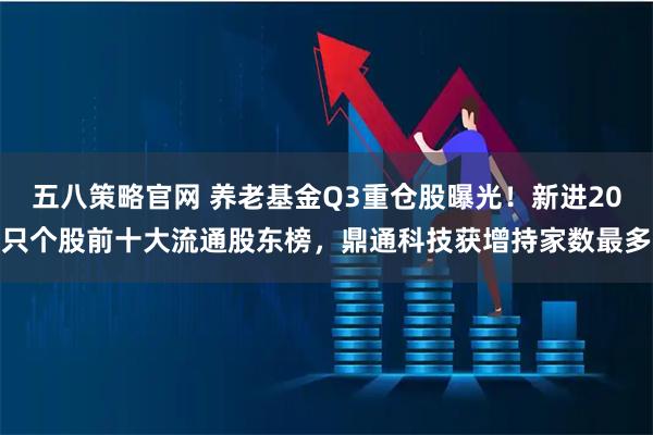 五八策略官网 养老基金Q3重仓股曝光！新进20只个股前十大流通股东榜，鼎通科技获增持家数最多