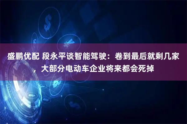 盛鹏优配 段永平谈智能驾驶：卷到最后就剩几家，大部分电动车企业将来都会死掉
