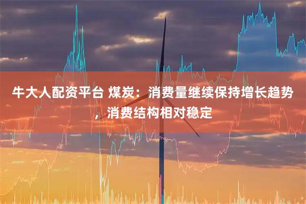 牛大人配资平台 煤炭：消费量继续保持增长趋势，消费结构相对稳定